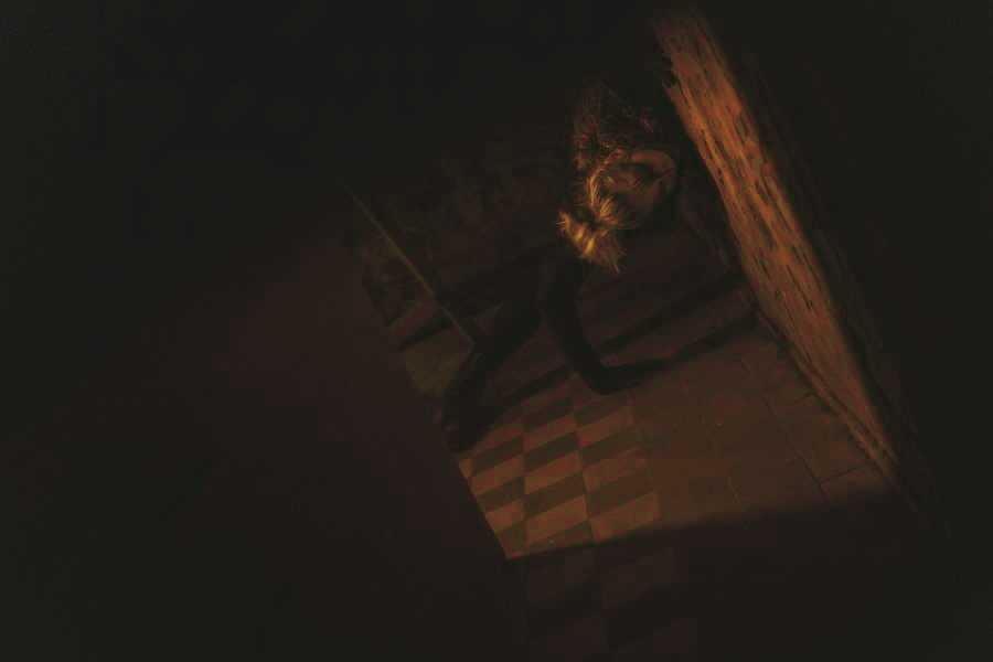 Квест в реальности Кошкарь от компании Sonder61 Квест в реальности Кошкарь от компании Sonder61