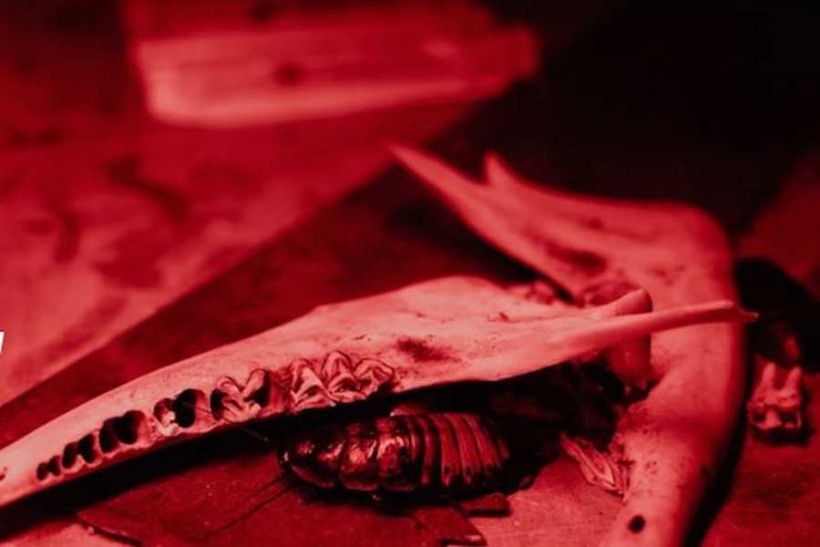 Квест в реальности Karma от компании Mansan Квест в реальности Karma от компании Mansan